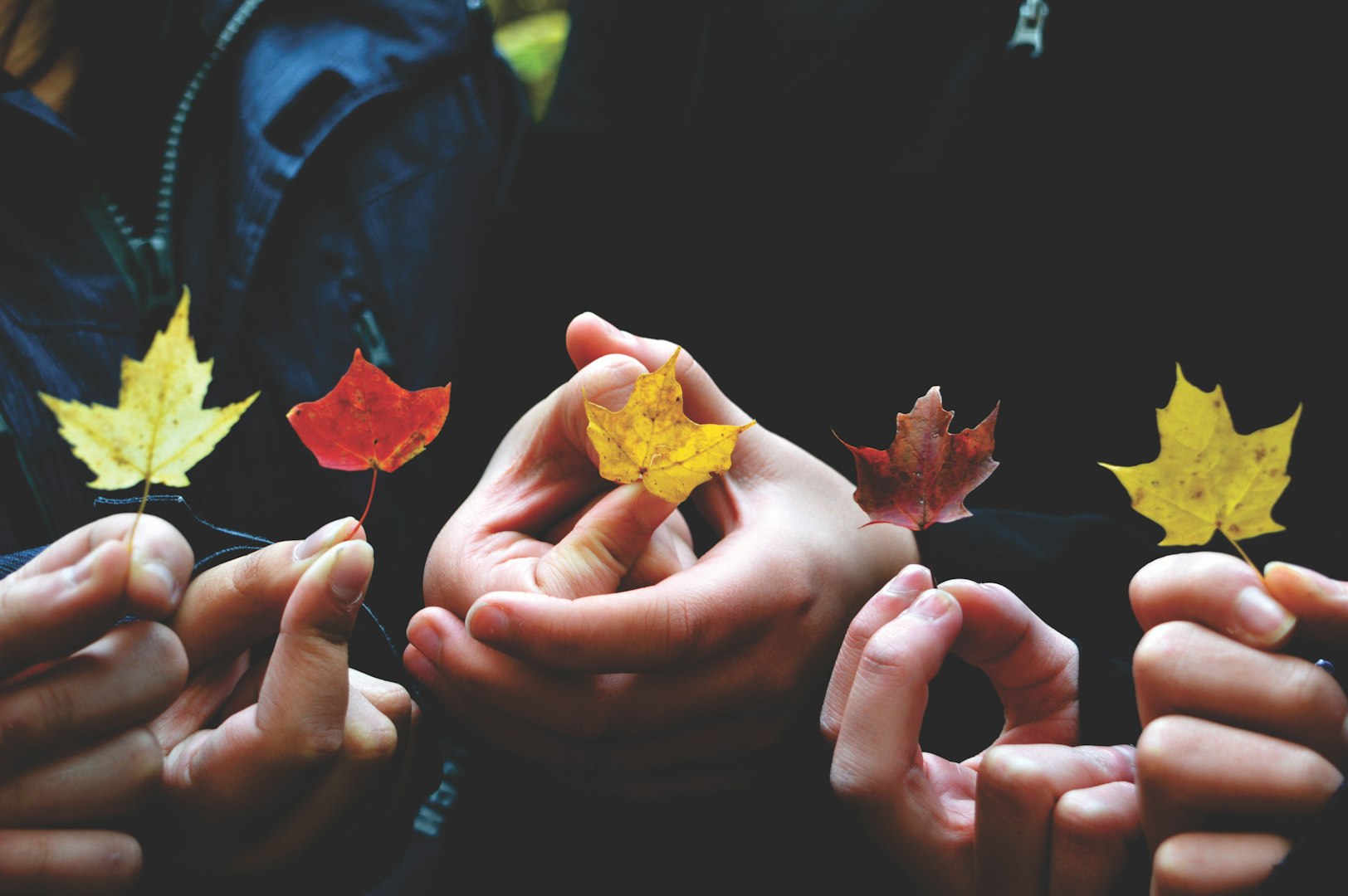 group therapy; group treatment; GOP; Generalized outpatient; individual therapy; substance use therapy; alcohol treatment; drug treatment